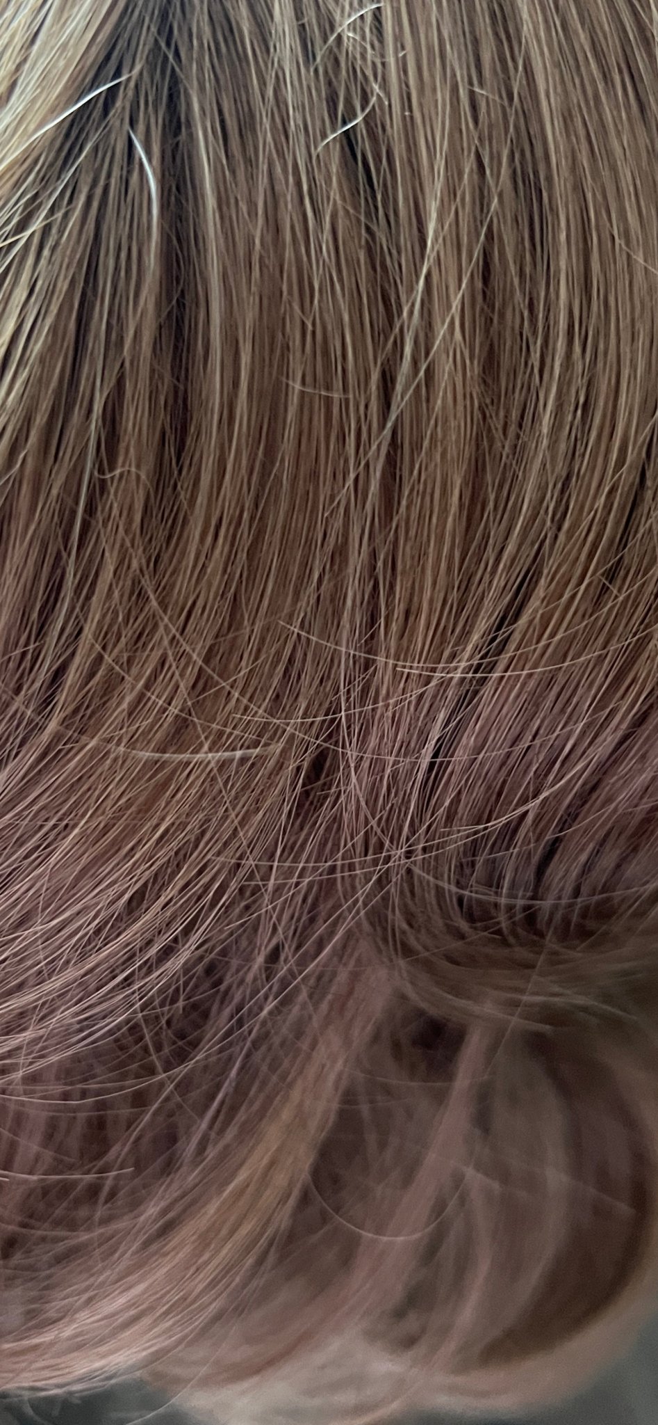 2in1 Pony - FIVE MINUTES BEAUTY