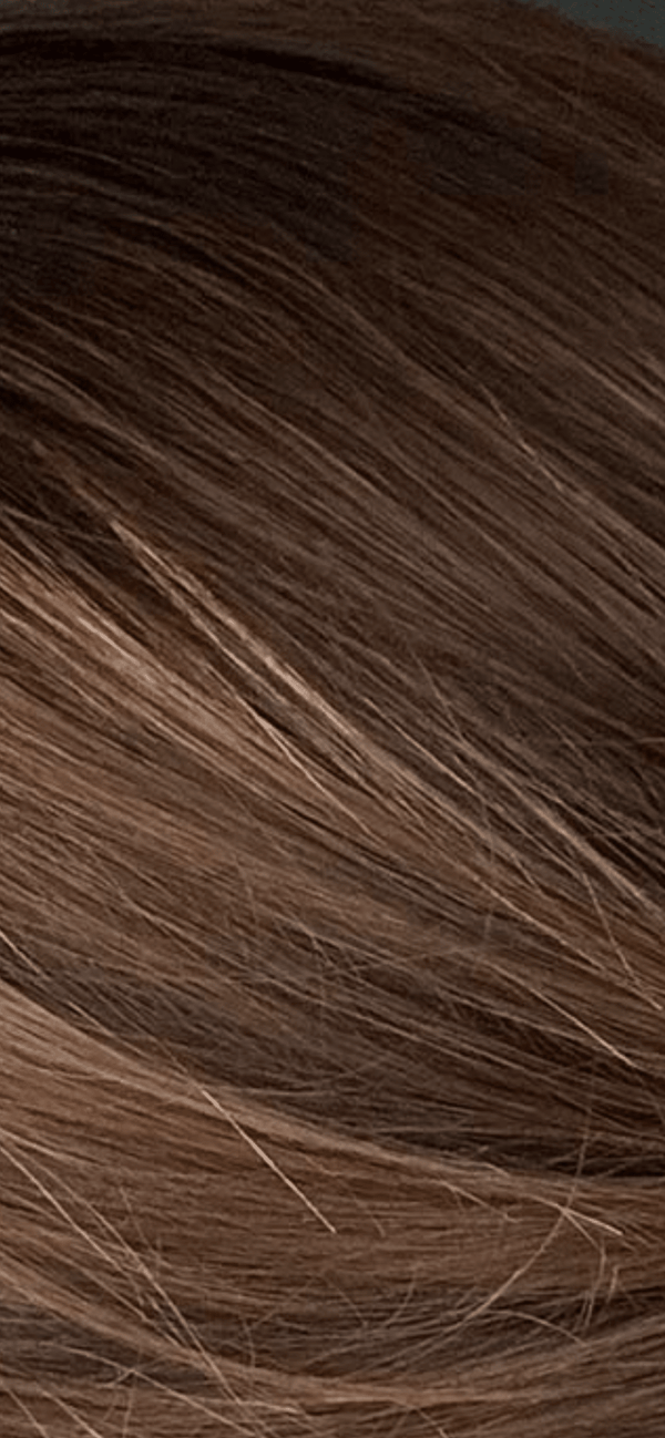 Deluxe Bun - FIVE MINUTES BEAUTYHair extensions